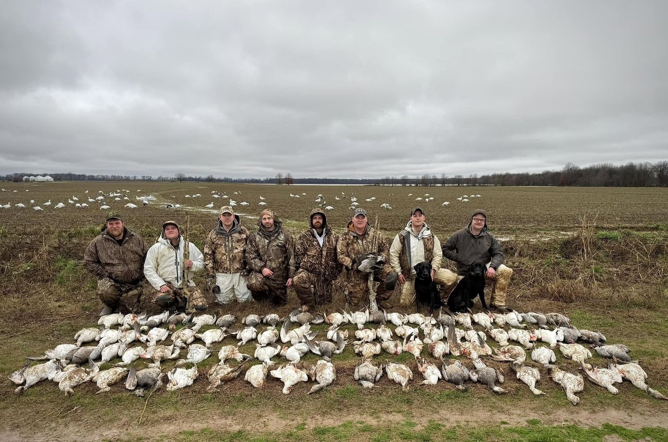 NISKA spring snow goose hunt in Missouri