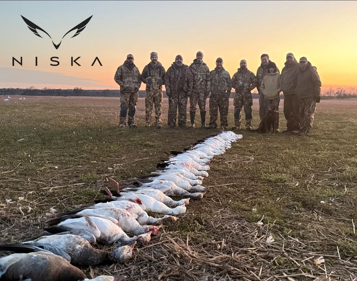 A NISKA group behind a full line of spring snow geese in Arkansas